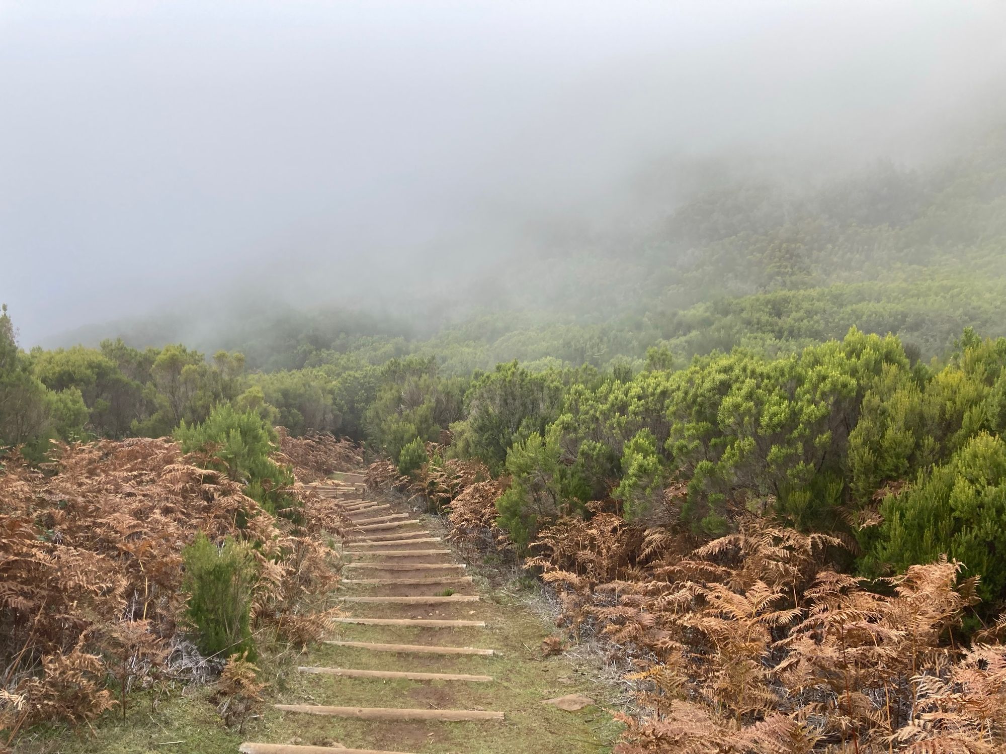 Born from Fire and Sea, the geological birth of Madeira