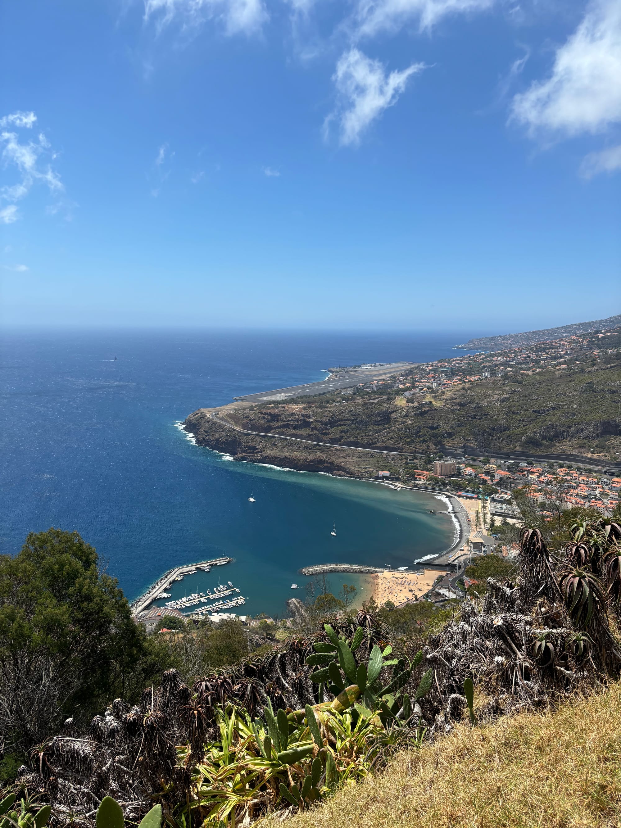 Lorna and friends in Madeira