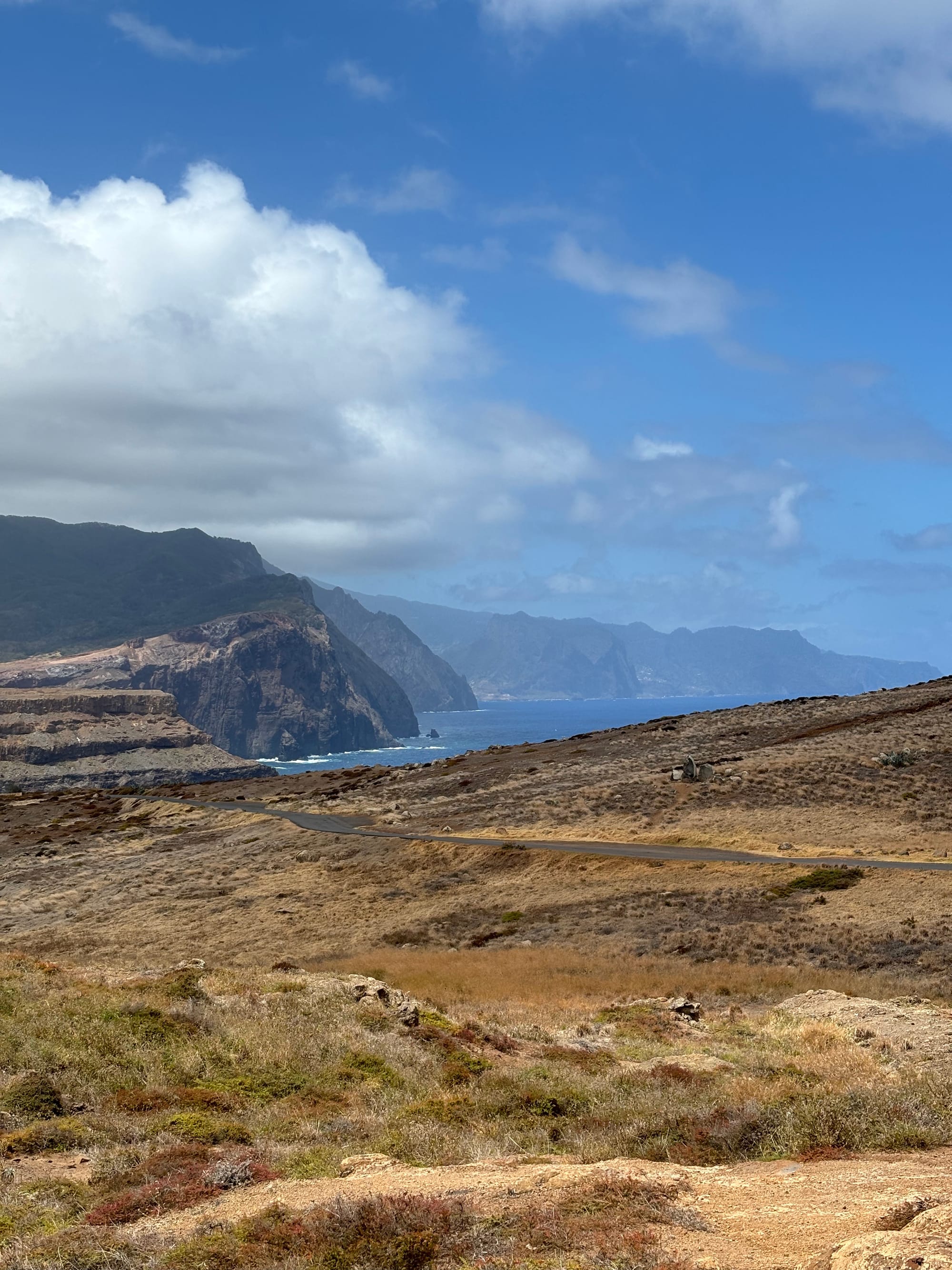 Lorna and friends in Madeira