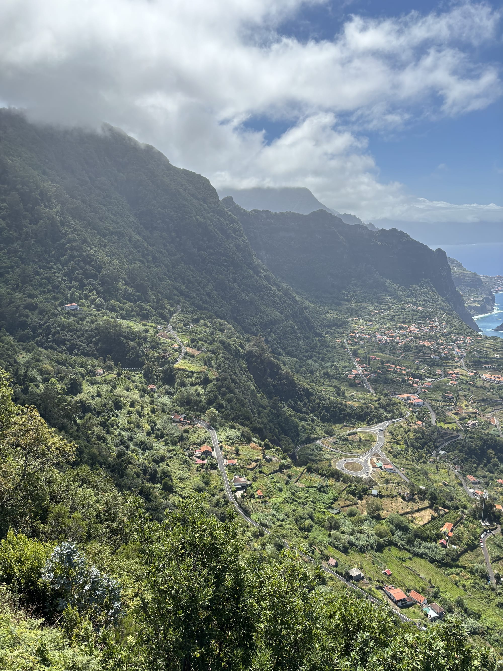 Lorna and friends in Madeira