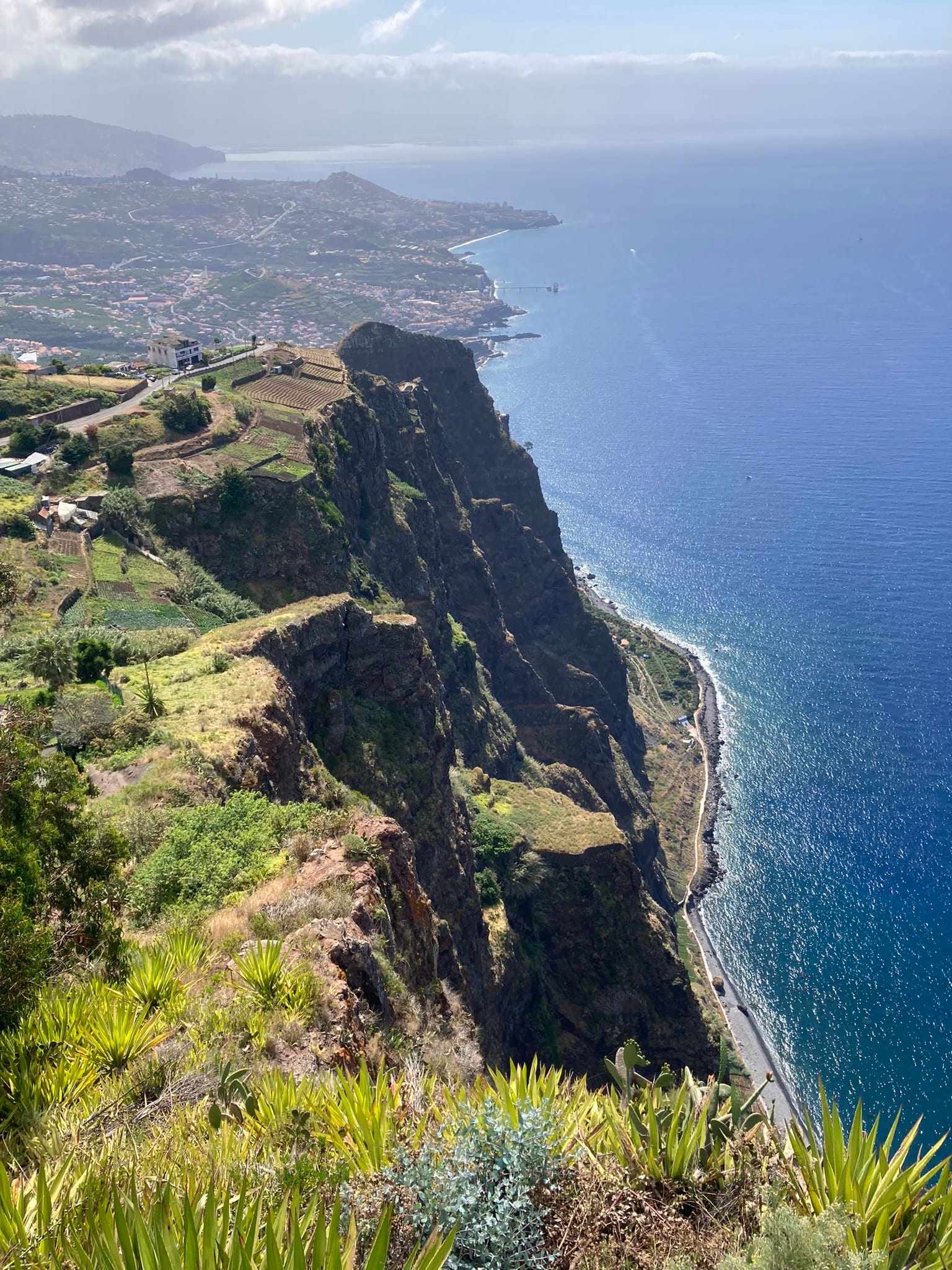 Lorna and friends in Madeira