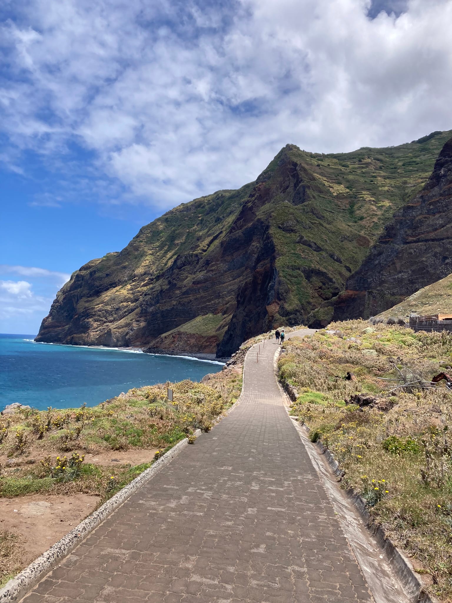 Lorna and friends in Madeira