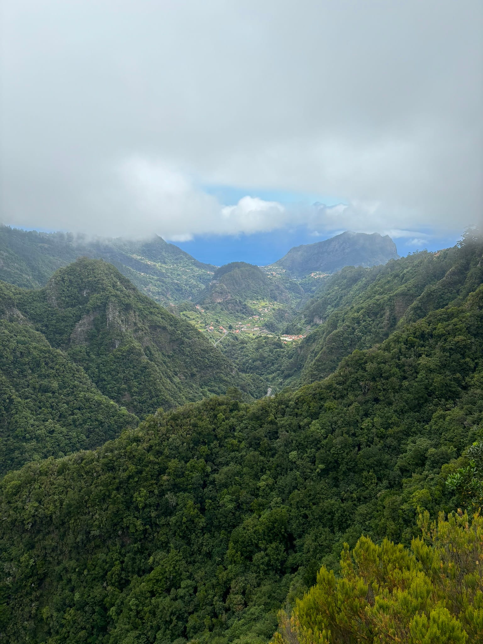 Nancy's Trip in Madeira