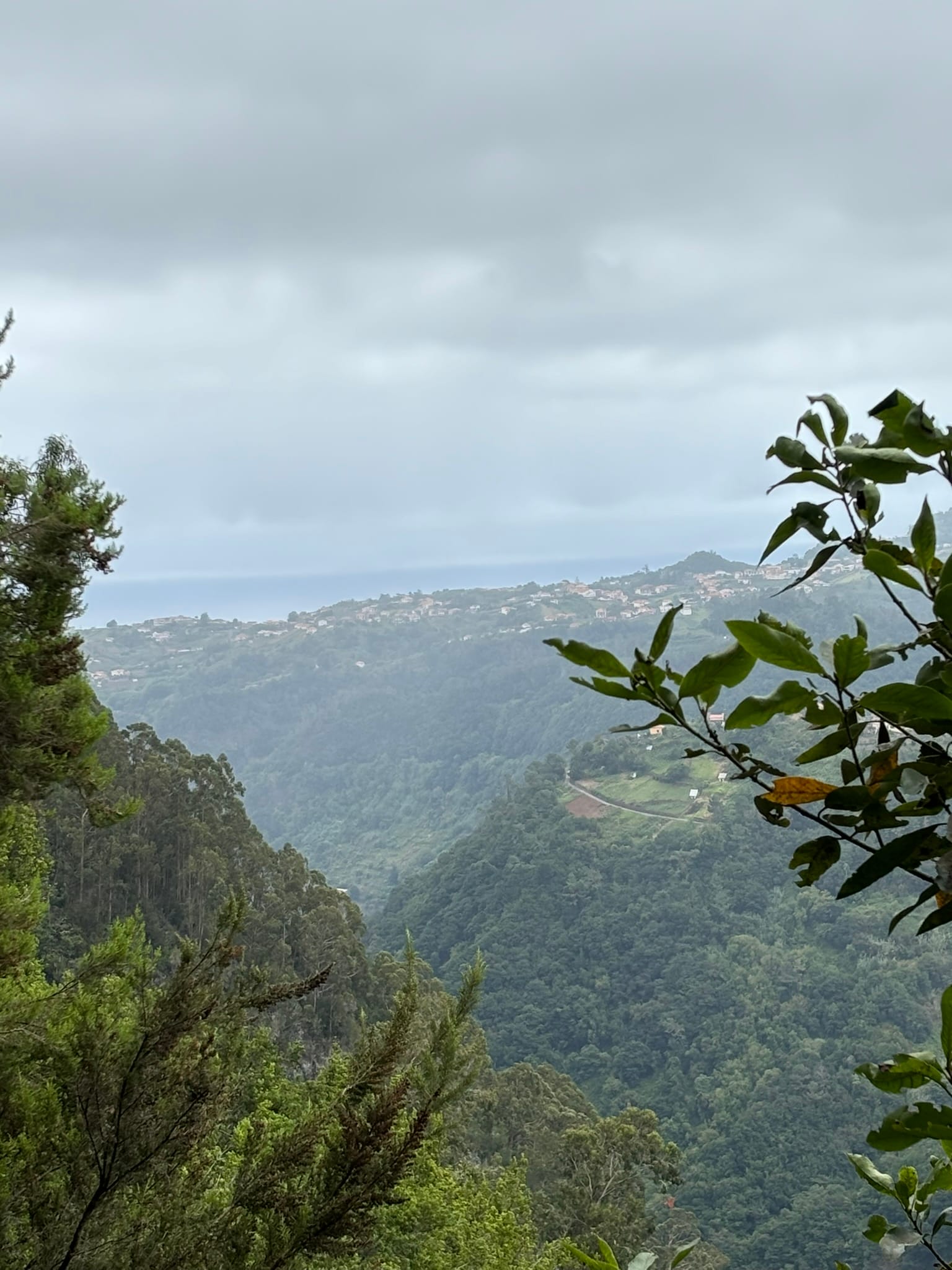 Nancy's Trip in Madeira