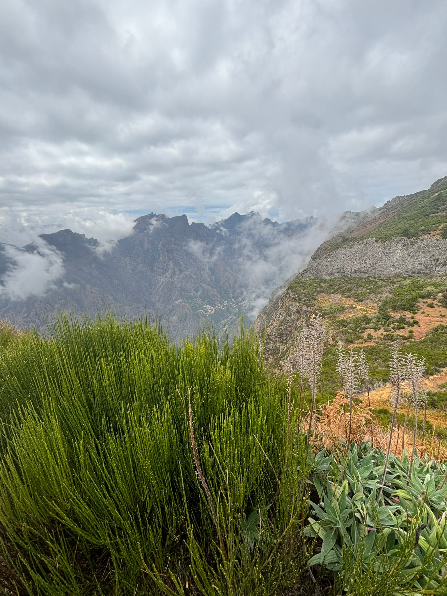 Benita & Friends itinerary for 6 days on Madeira Island