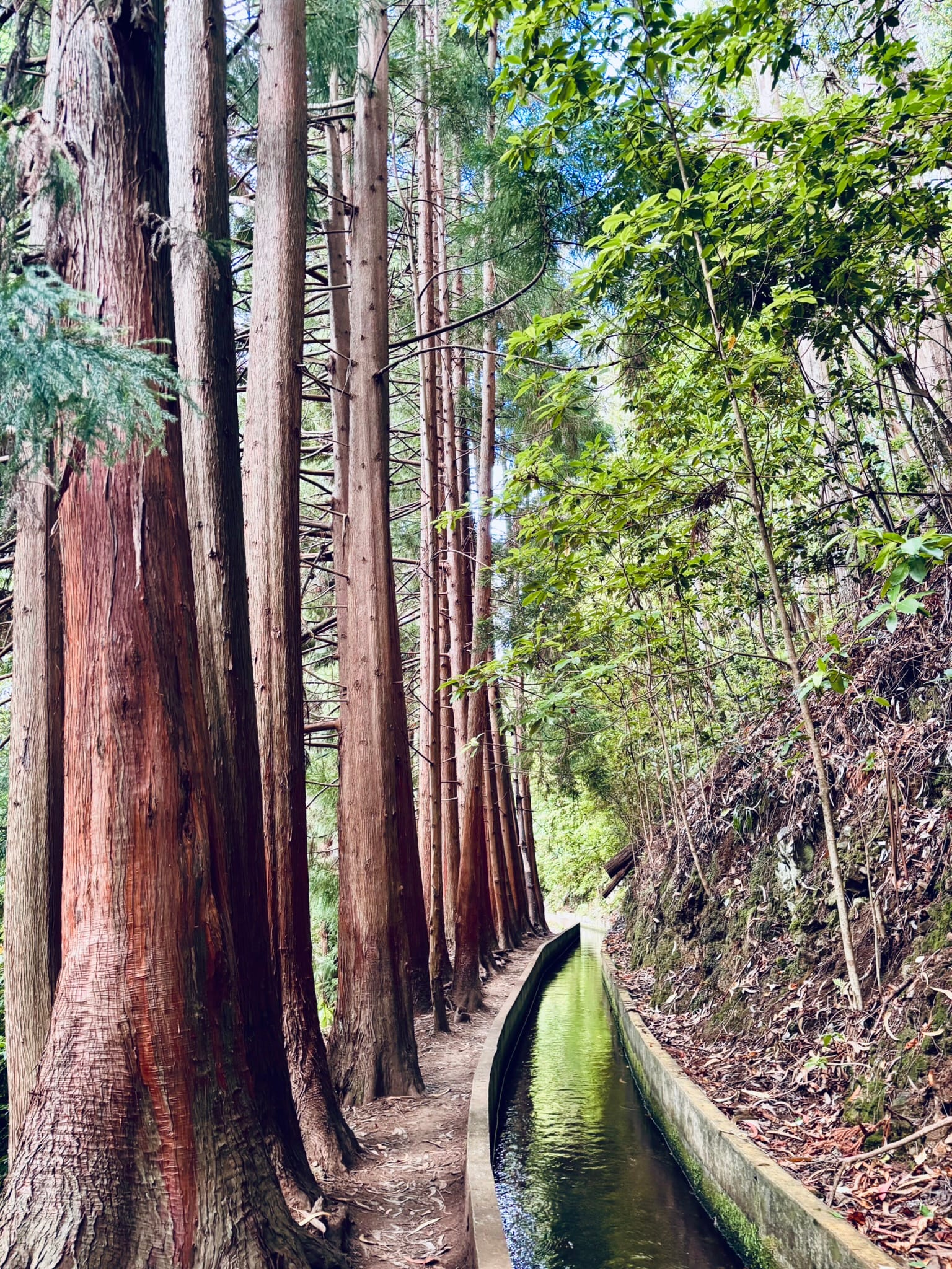 Benita & Friends itinerary for 6 days on Madeira Island
