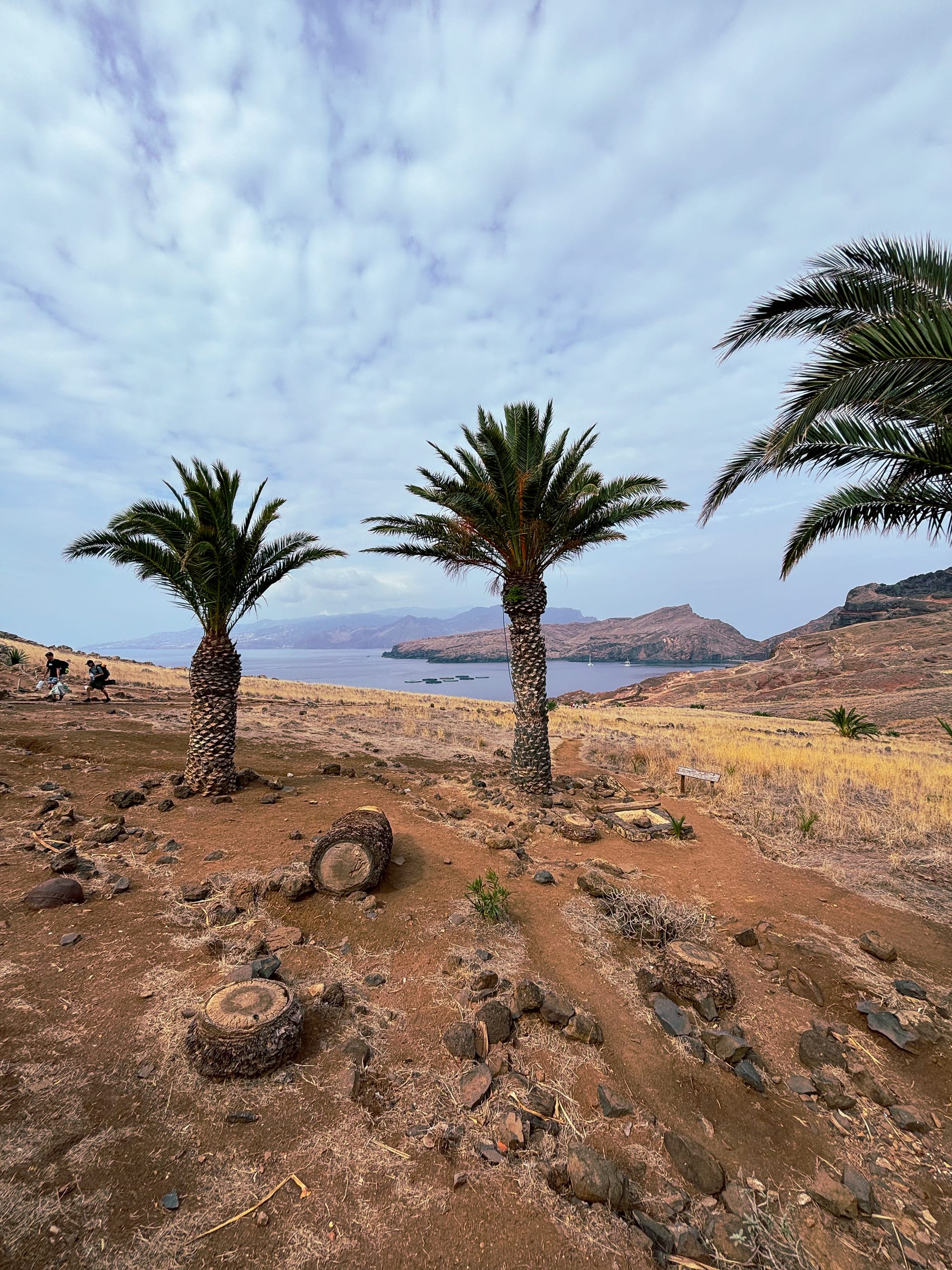 Benita & Friends itinerary for 6 days on Madeira Island