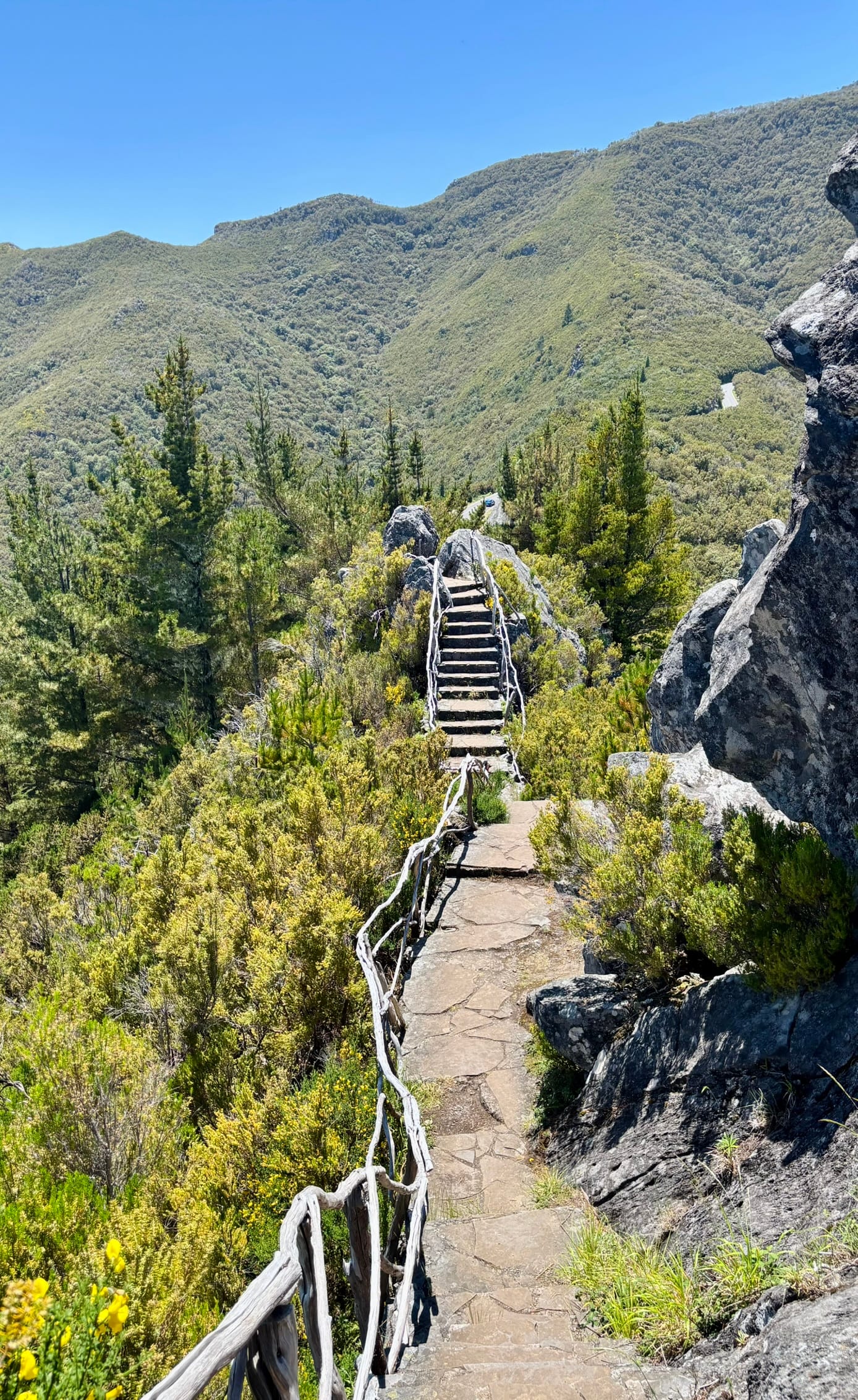 Benita & Friends itinerary for 6 days on Madeira Island