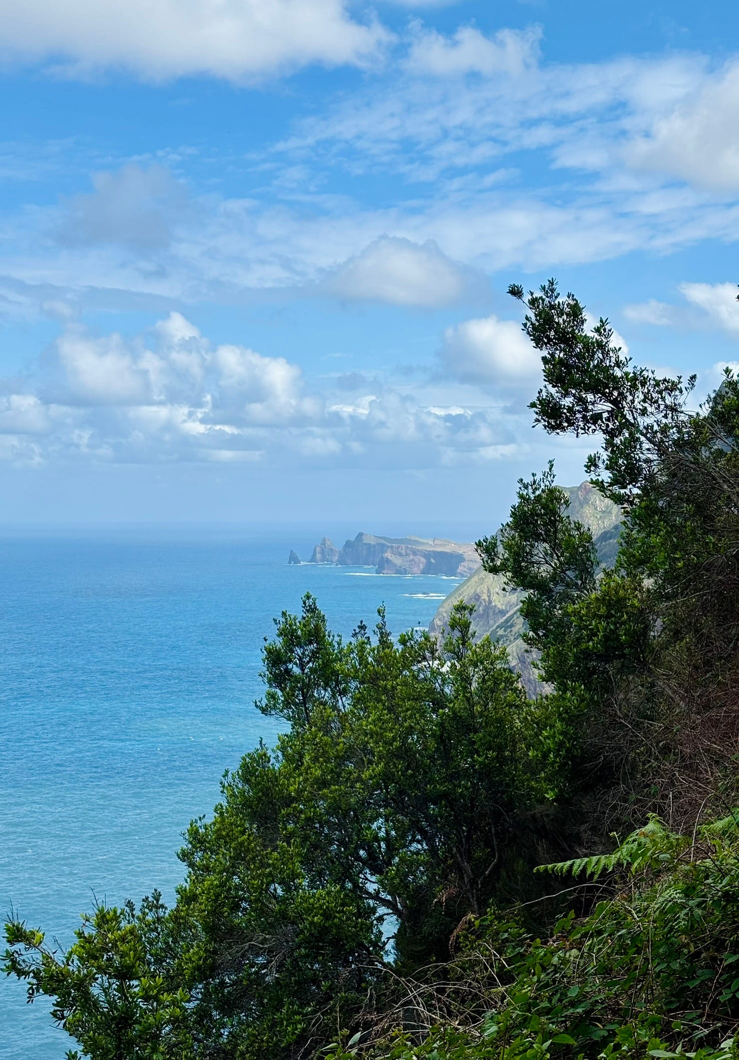 Benita & Friends itinerary for 6 days on Madeira Island