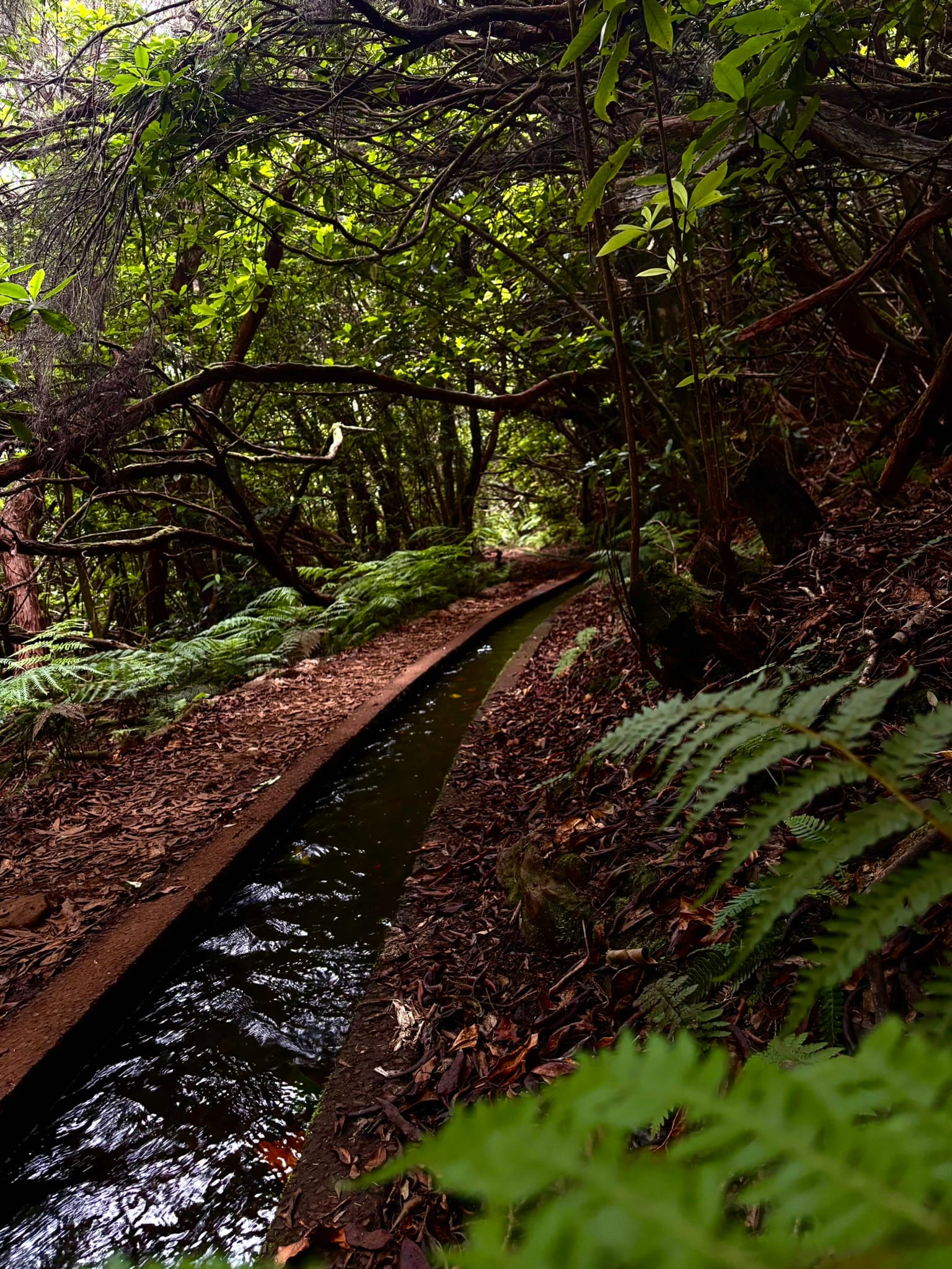 Benita & Friends itinerary for 6 days on Madeira Island