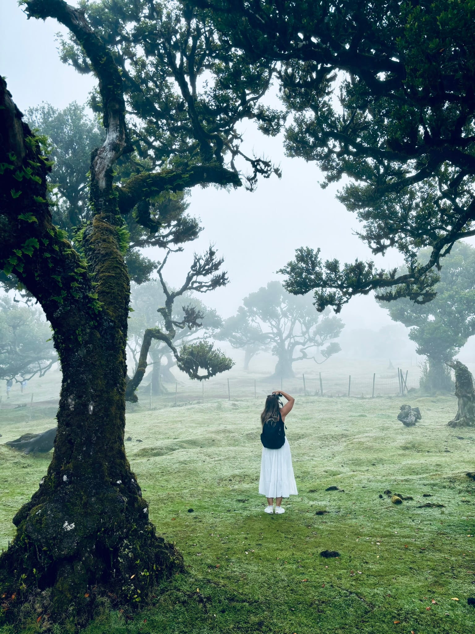 Alisa's Mandel itinerary in Madeira