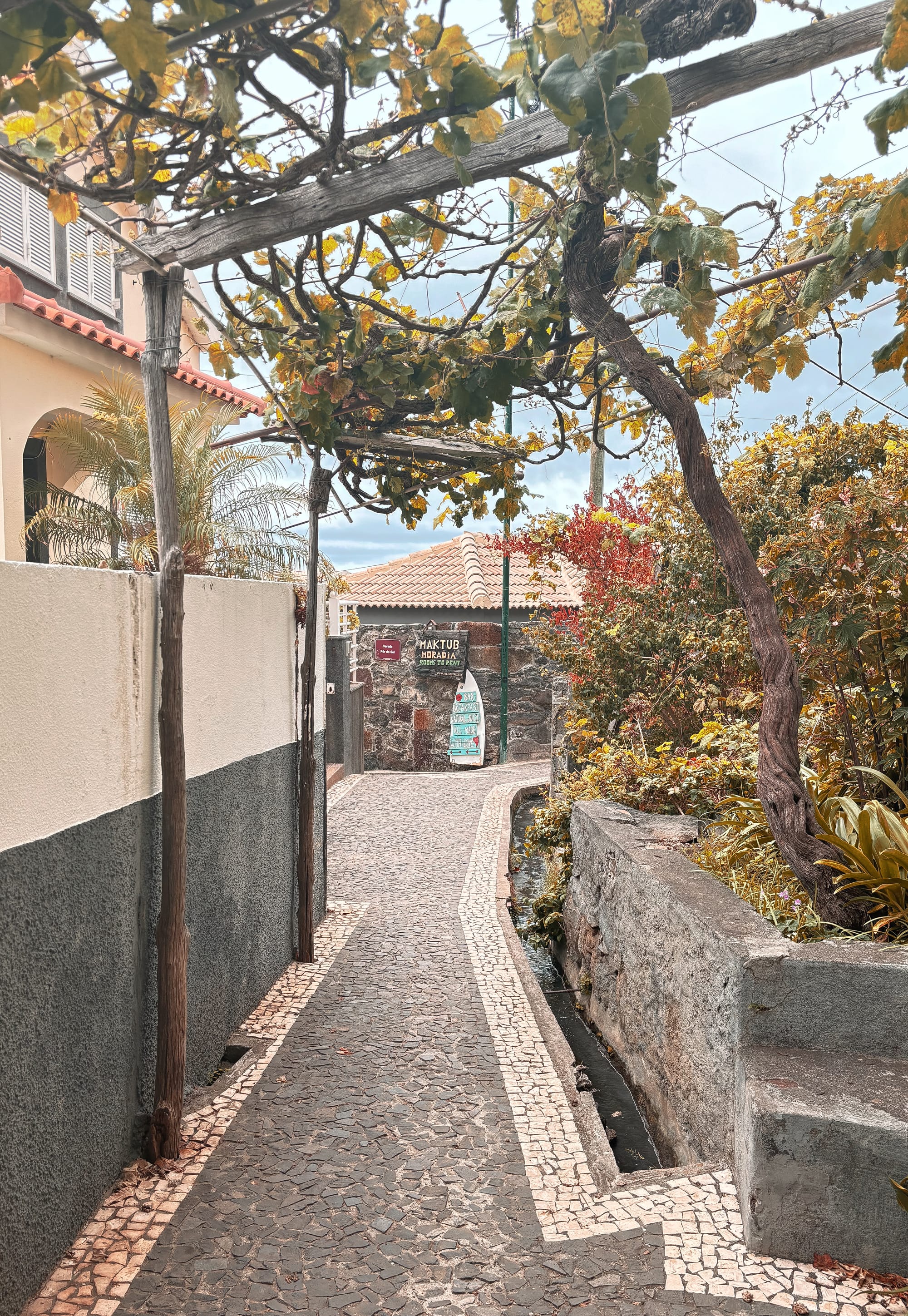 Dominique's Potvin itinerary for 5 days on Madeira Island