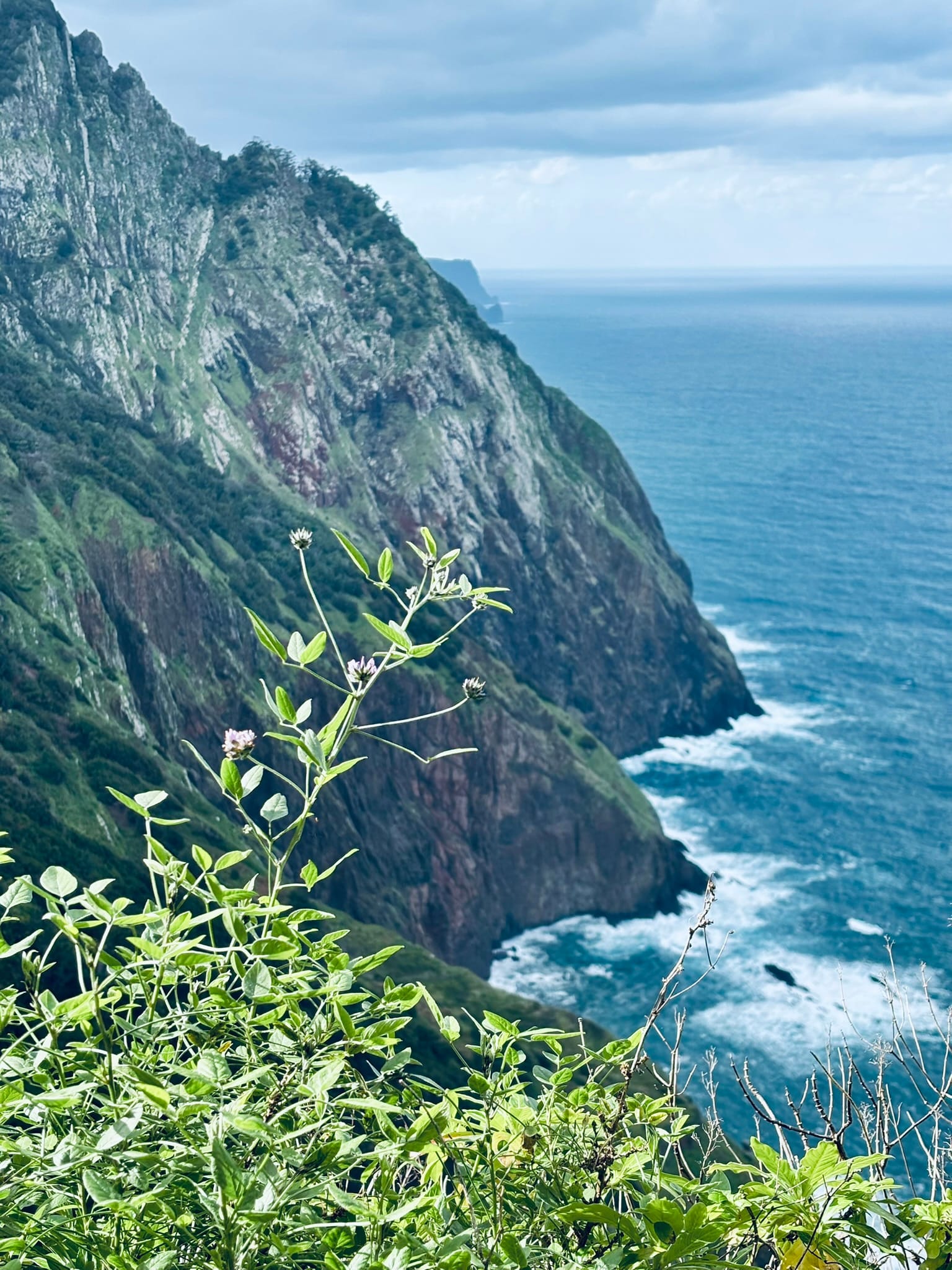 Dominique's Potvin itinerary for 5 days on Madeira Island
