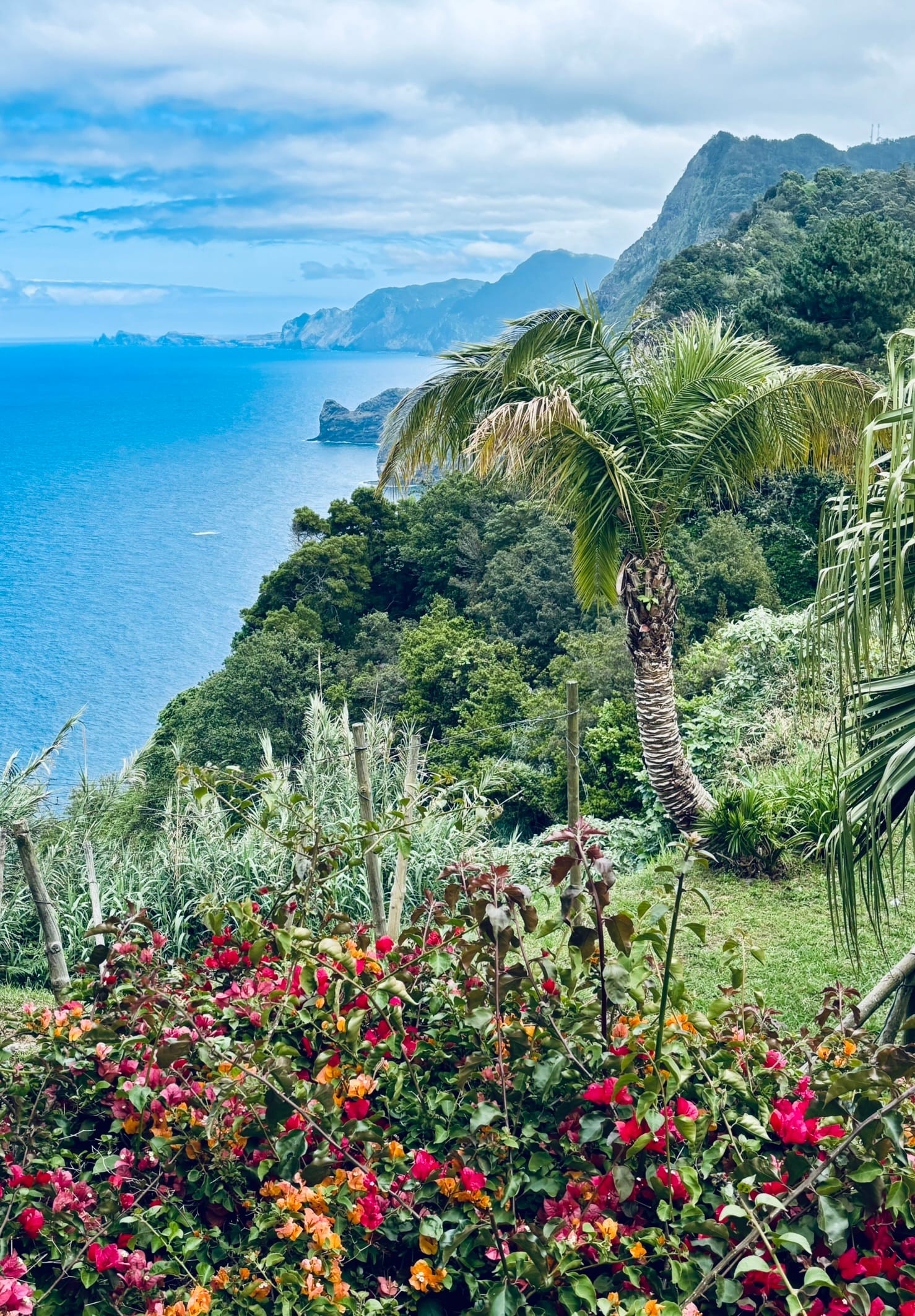 Dominique's Potvin itinerary for 5 days on Madeira Island