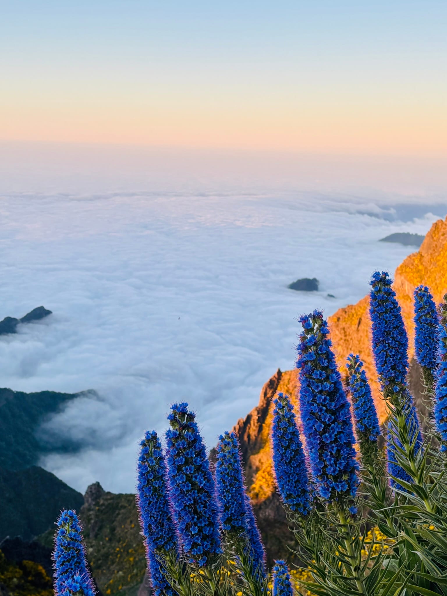 Dominique's Potvin itinerary for 5 days on Madeira Island