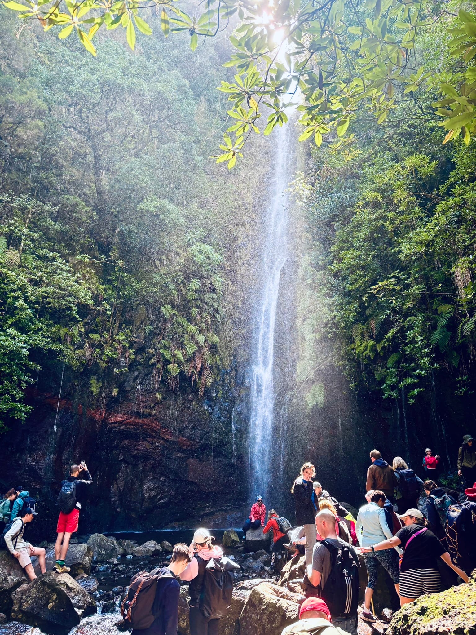 Benita & Friends itinerary for 6 days on Madeira Island