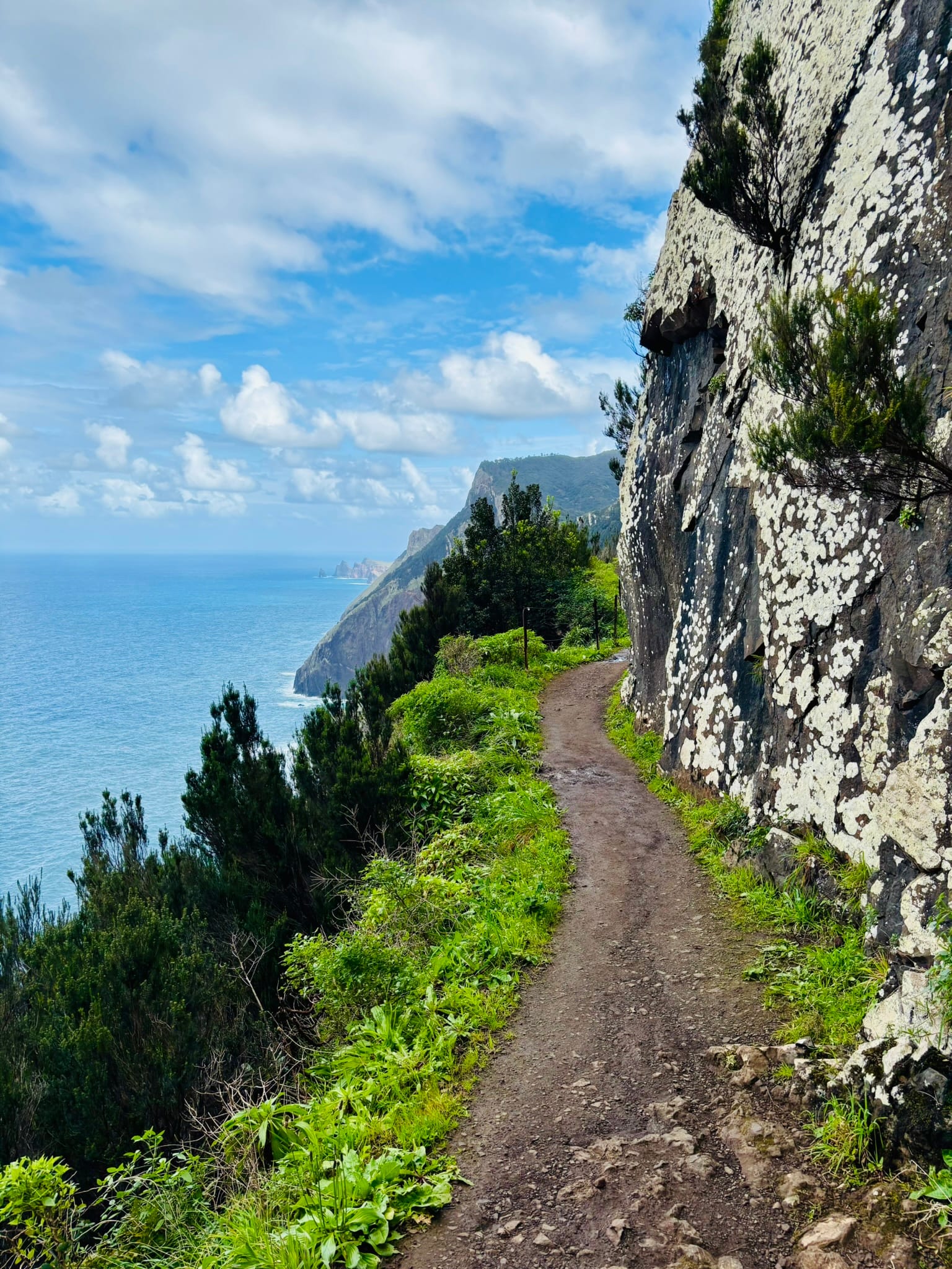 Benita & Friends itinerary for 6 days on Madeira Island