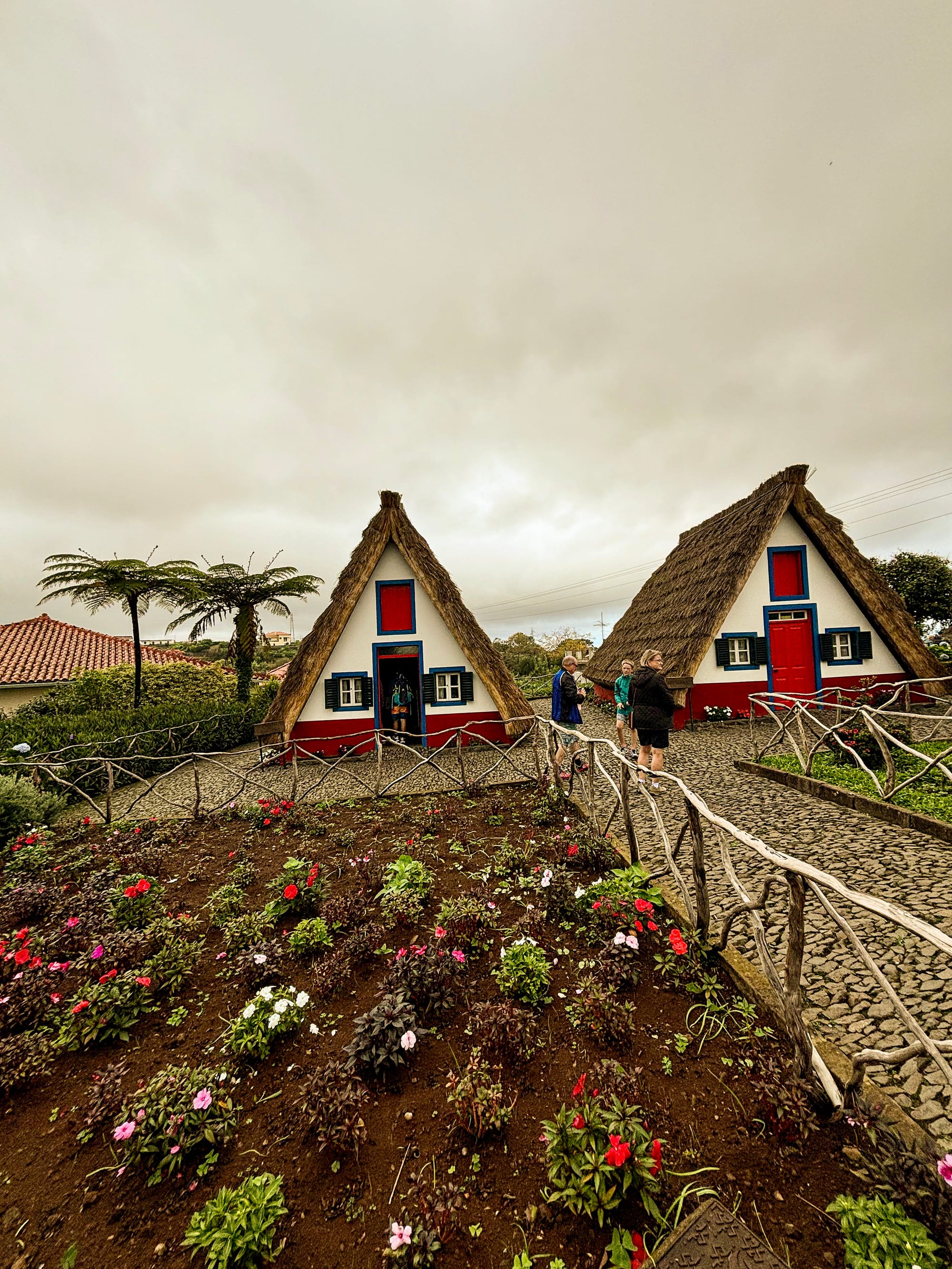 Benita & Friends itinerary for 6 days on Madeira Island