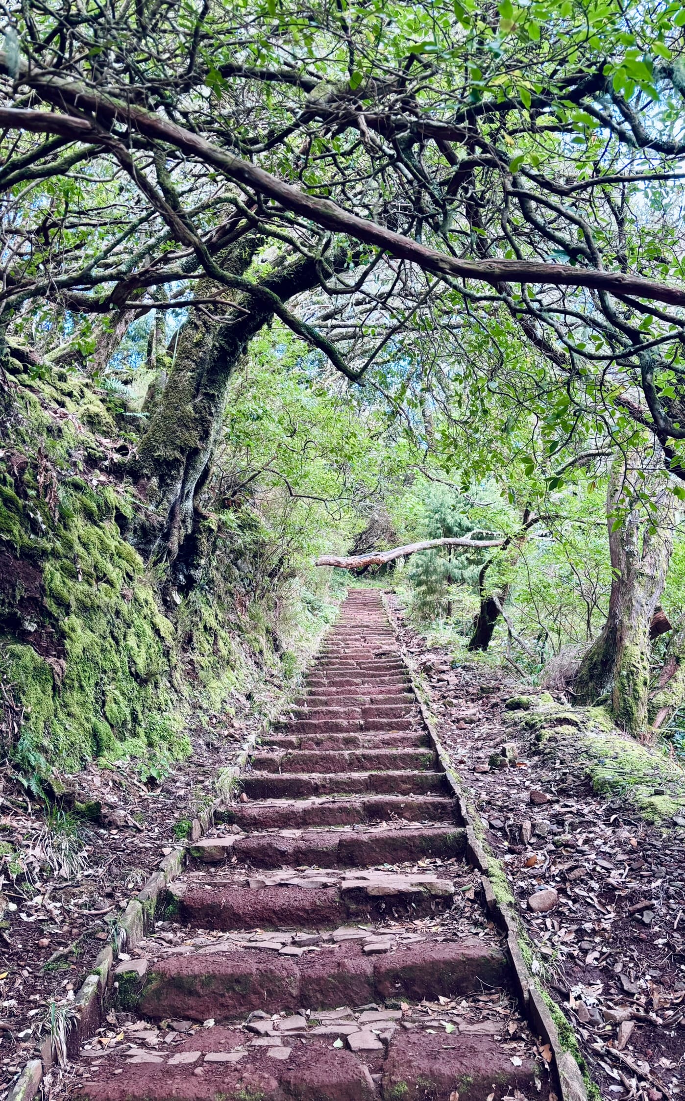 Benita & Friends itinerary for 6 days on Madeira Island
