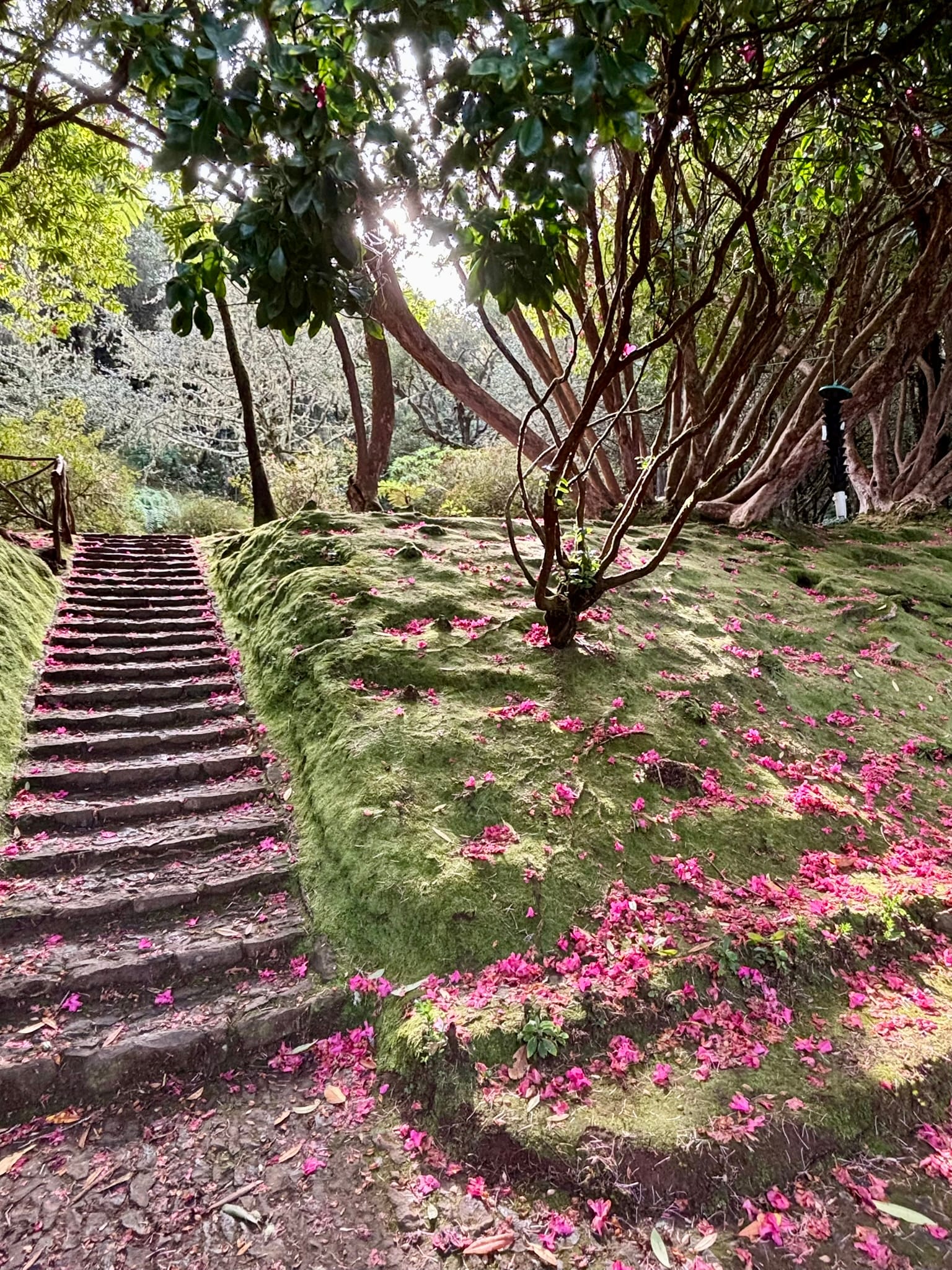 Benita & Friends itinerary for 6 days on Madeira Island