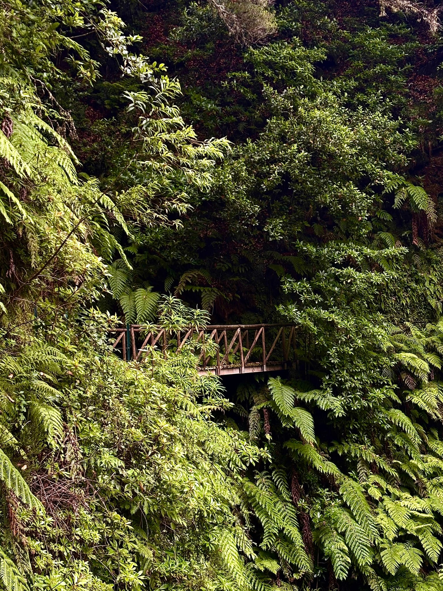 Vito's & Friends itinerary on Madeira Island