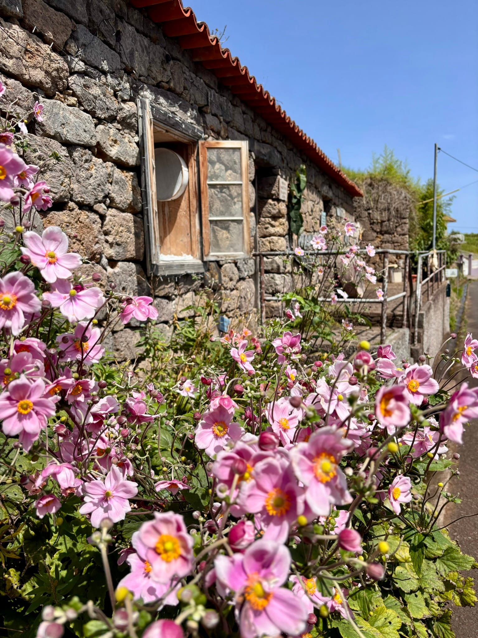 Vito's & Friends itinerary on Madeira Island