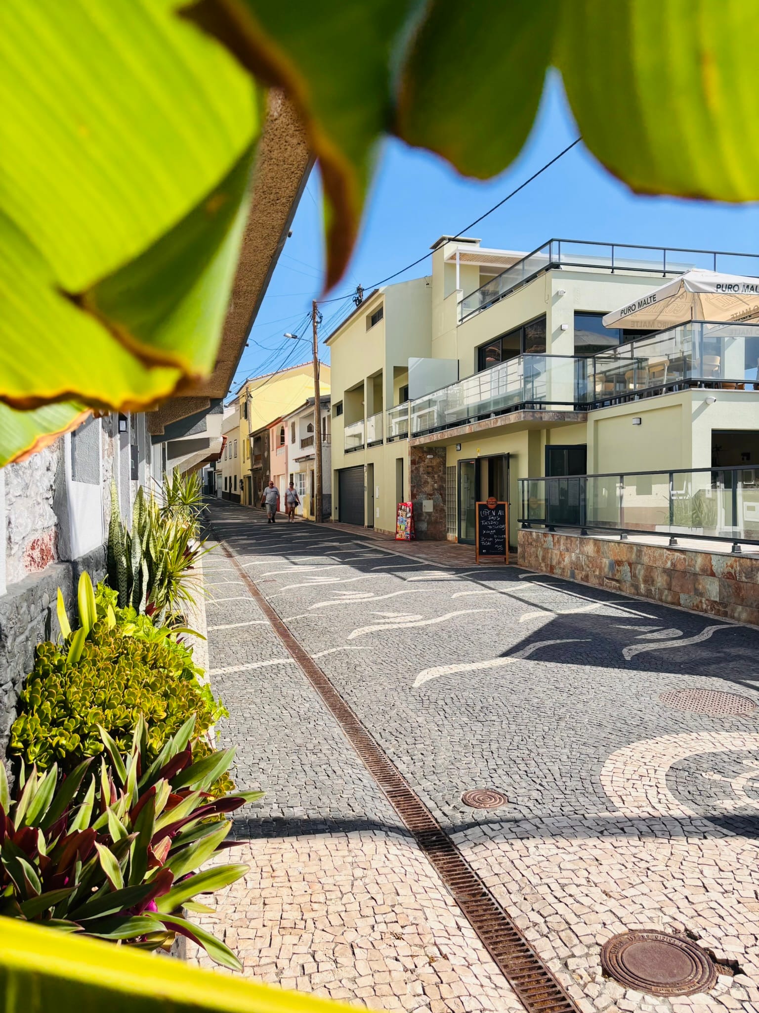 Dave's Ransome proposed itinerary on Madeira Island