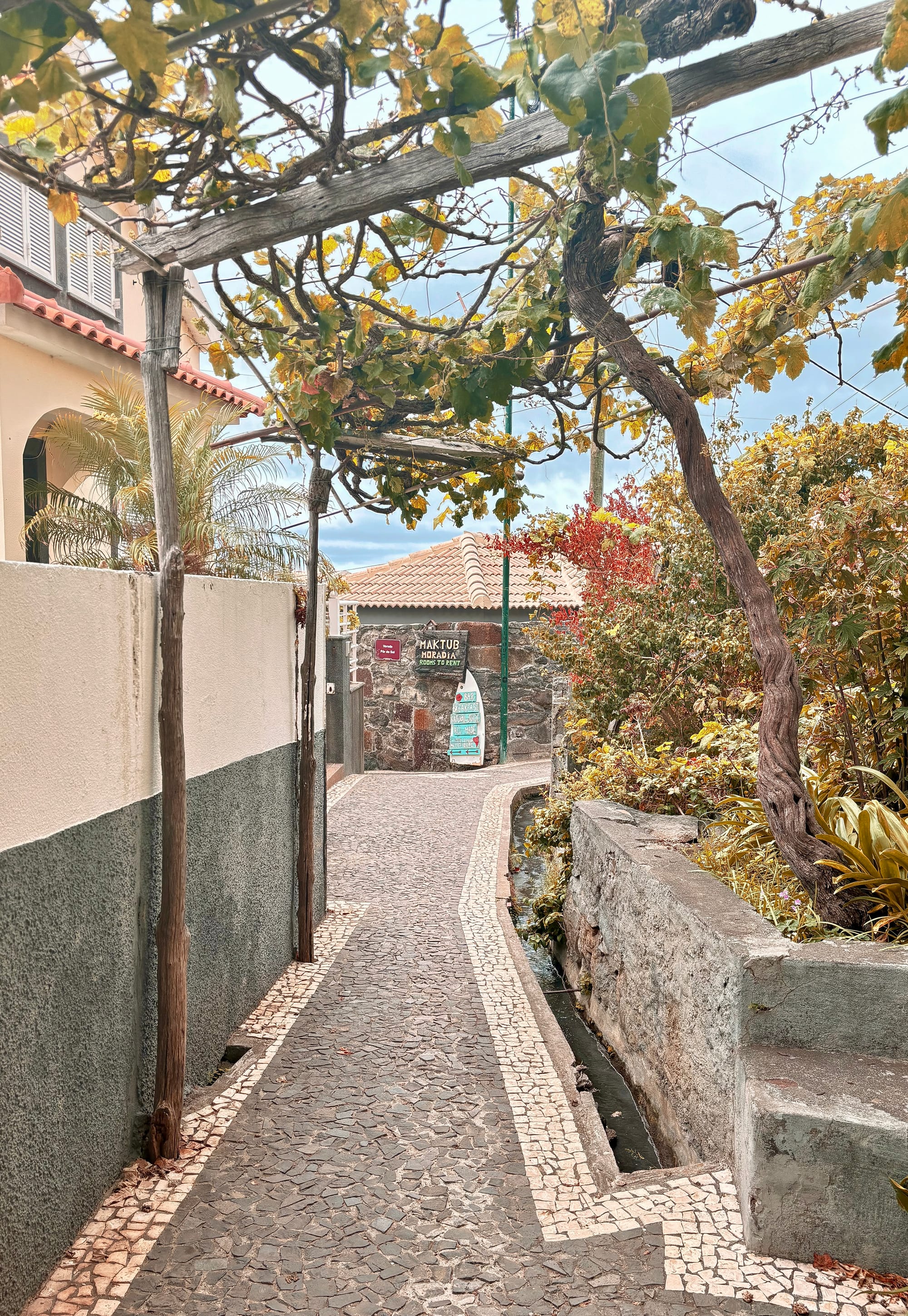 Dave's Ransome proposed itinerary on Madeira Island