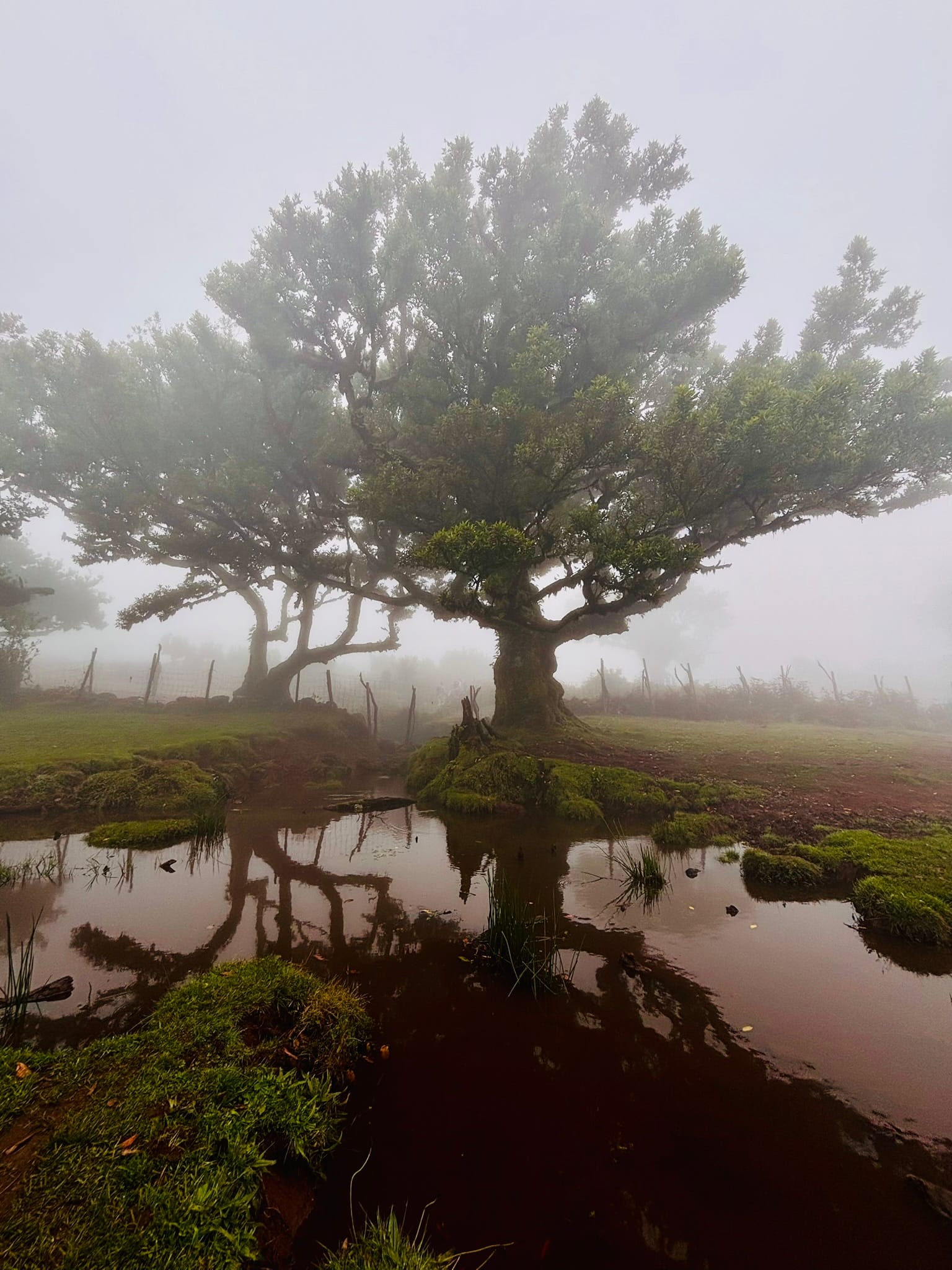 Dave's Ransome proposed itinerary on Madeira Island