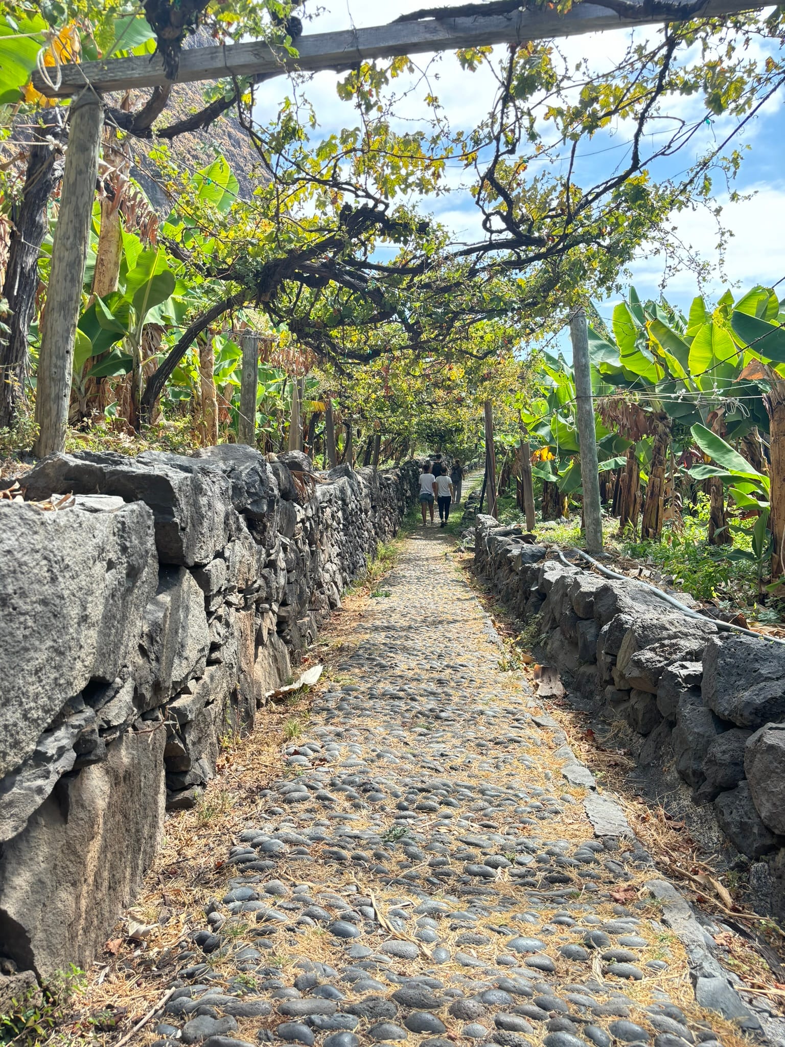 Dave's Ransome proposed itinerary on Madeira Island