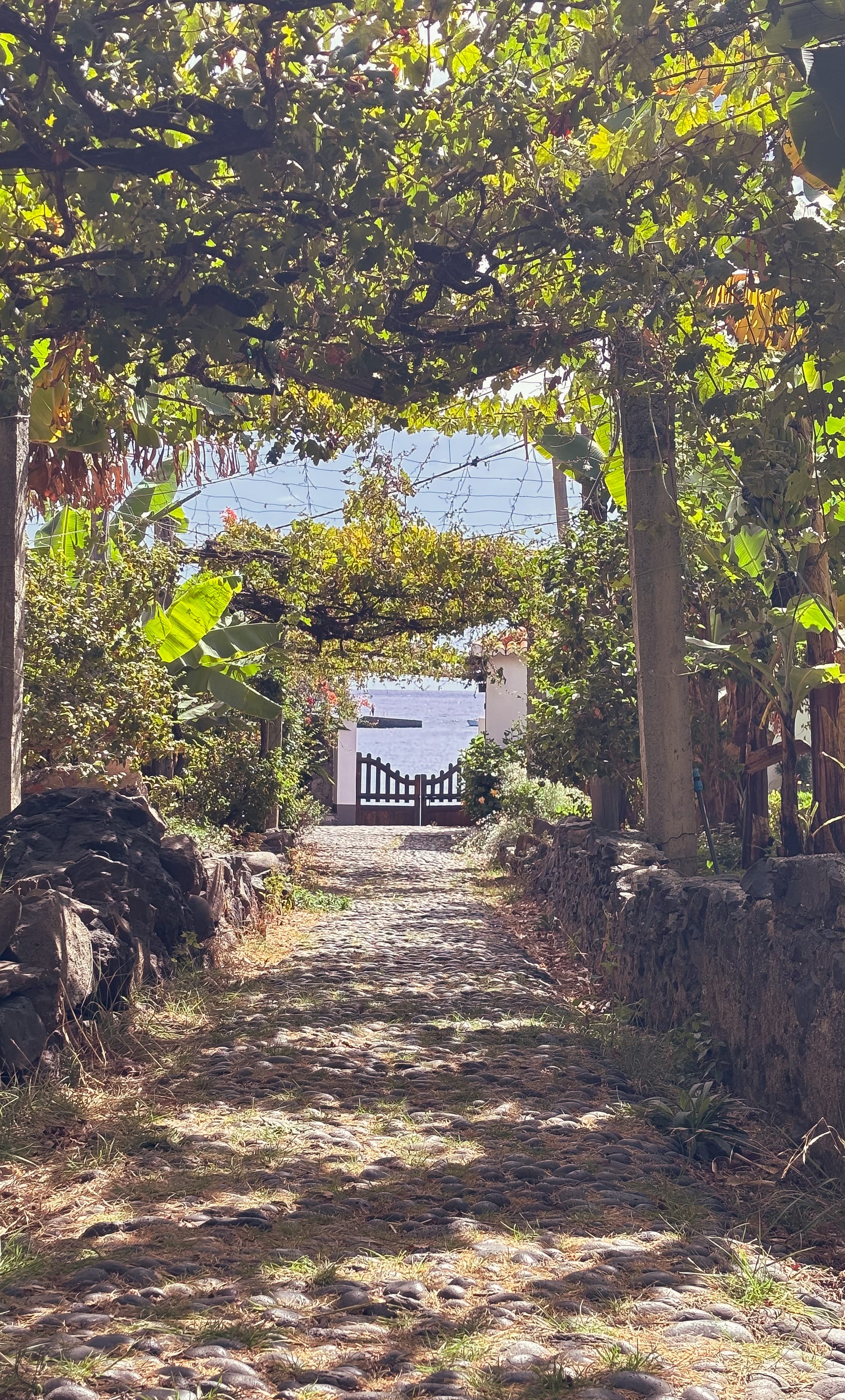 Dave's Ransome proposed itinerary on Madeira Island
