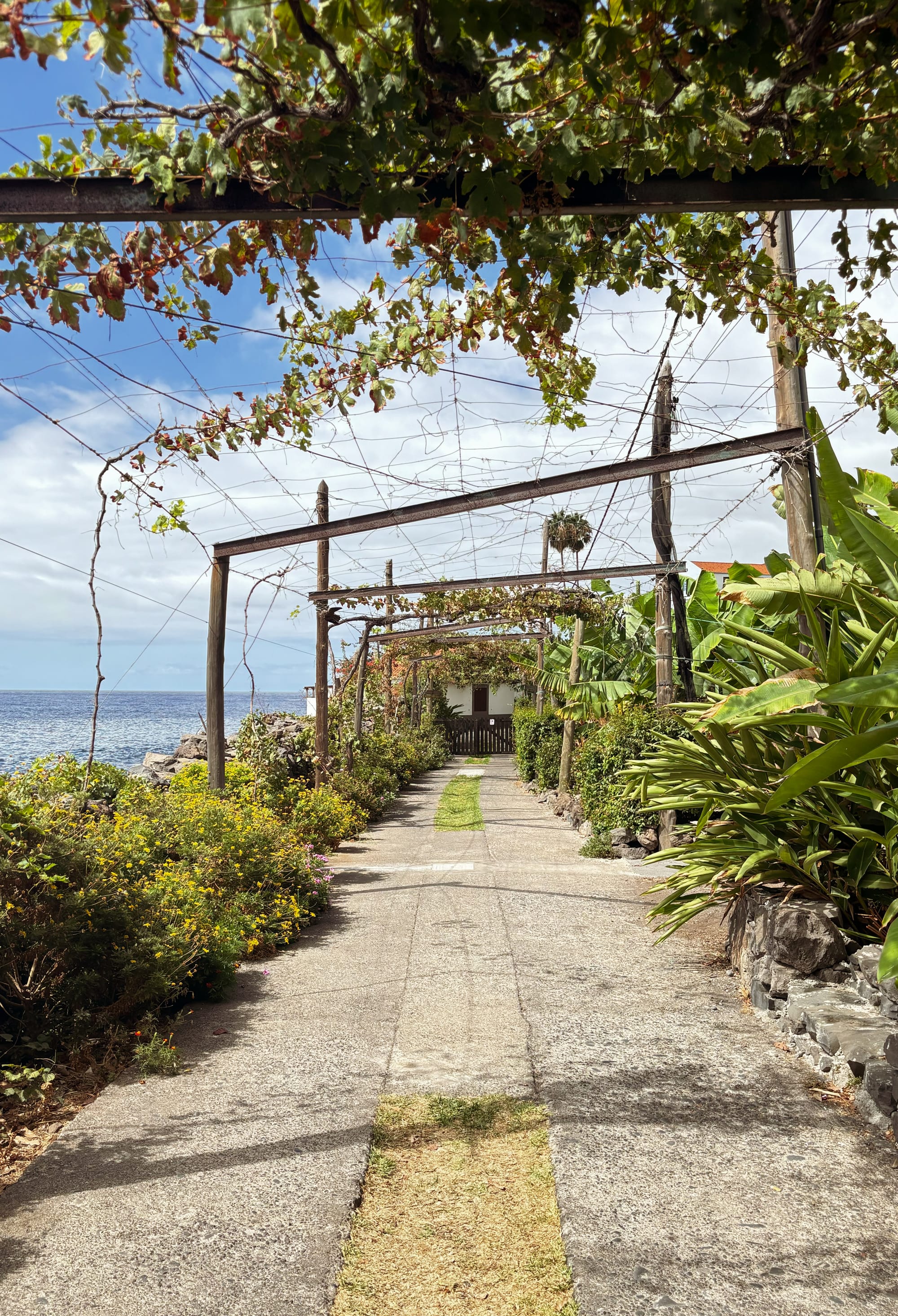 Dave's Ransome proposed itinerary on Madeira Island
