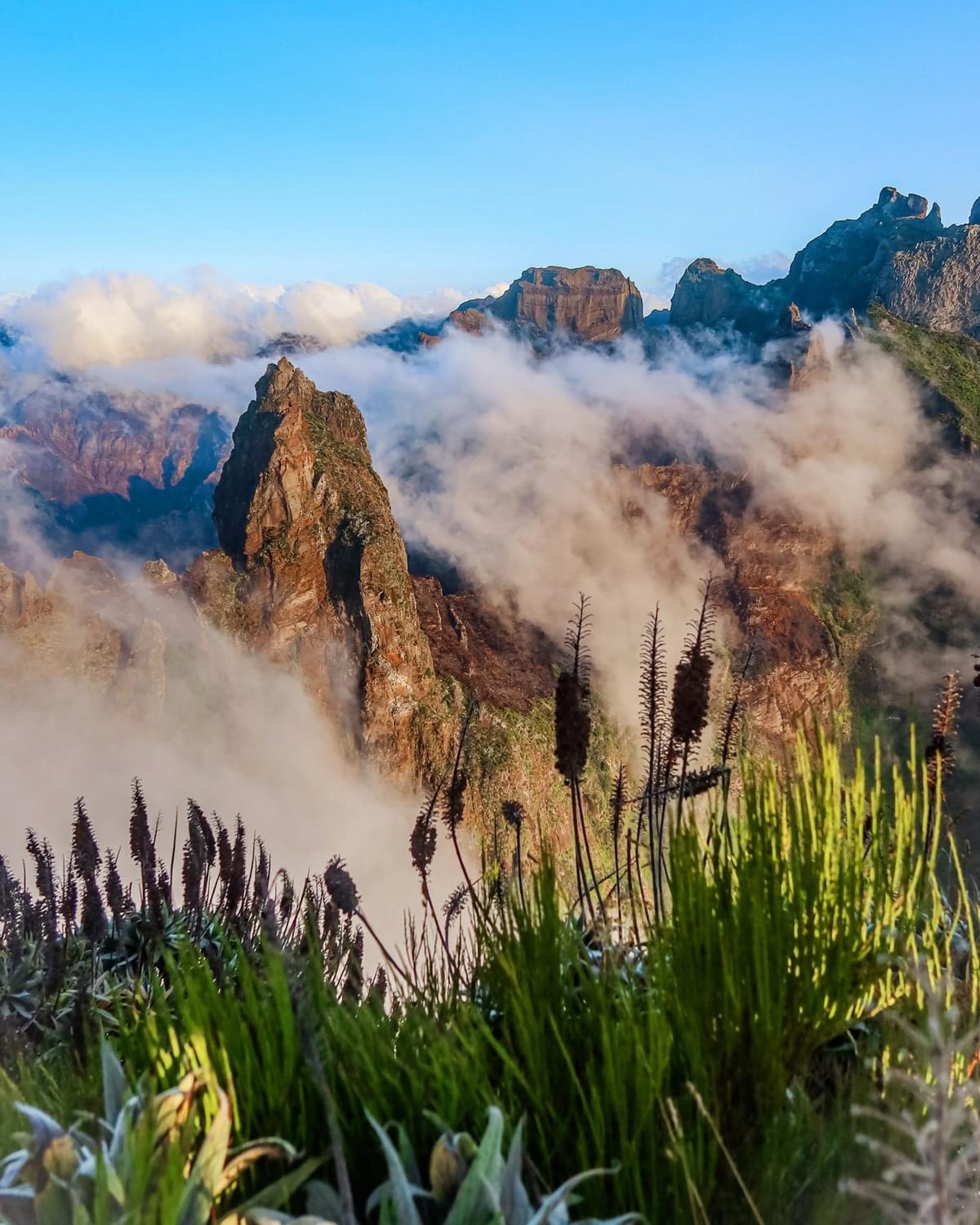 Ararad Ermize's itinerary for 5 days in Madeira Island