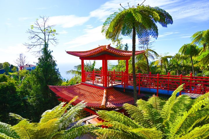 The Tropical Garden: Funchal's Lush Green Haven