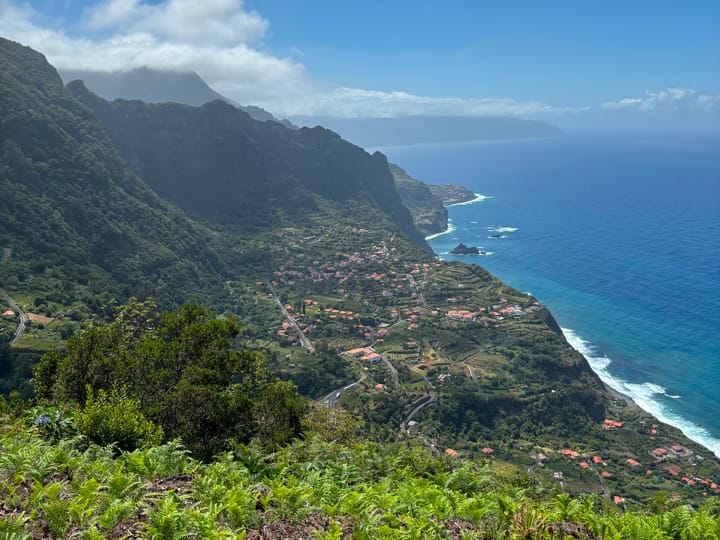 Lorna and friends in Madeira